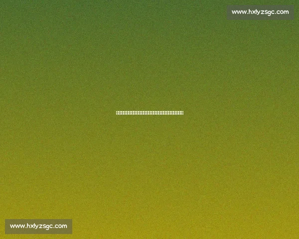 伯纳多席尔瓦的全能足球艺术与现代中场战术演变之深度解析