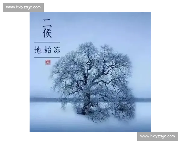 立冬时节万物潜藏寒意渐浓人间烟火暖意正浓迎冬之美尽在此刻